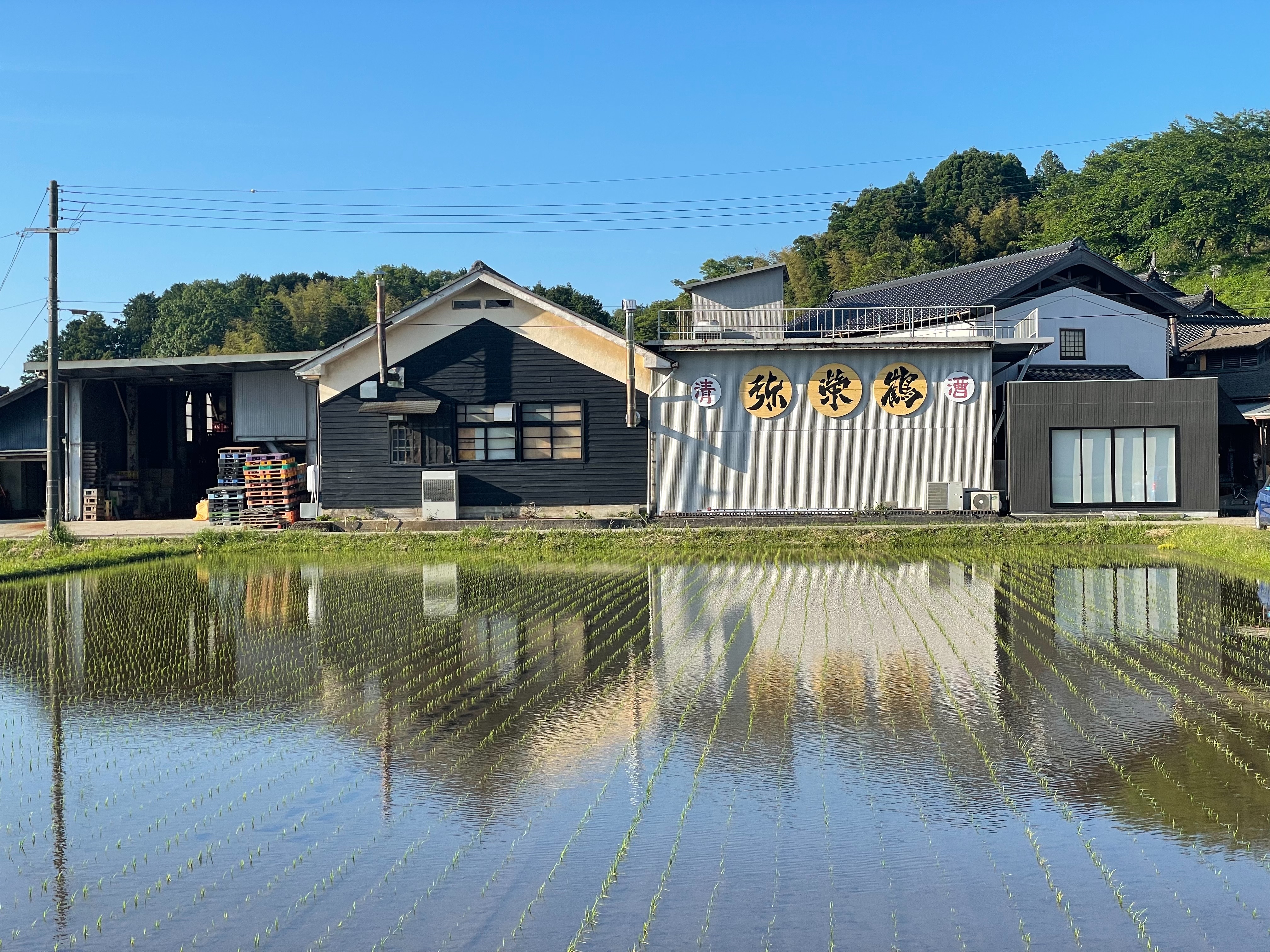 田植えが始まりました。