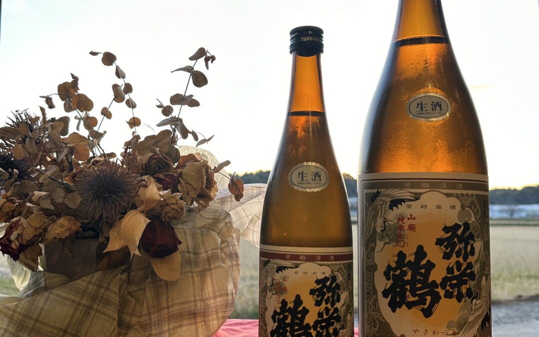 【山廃純米七〇生酒】発売しました。