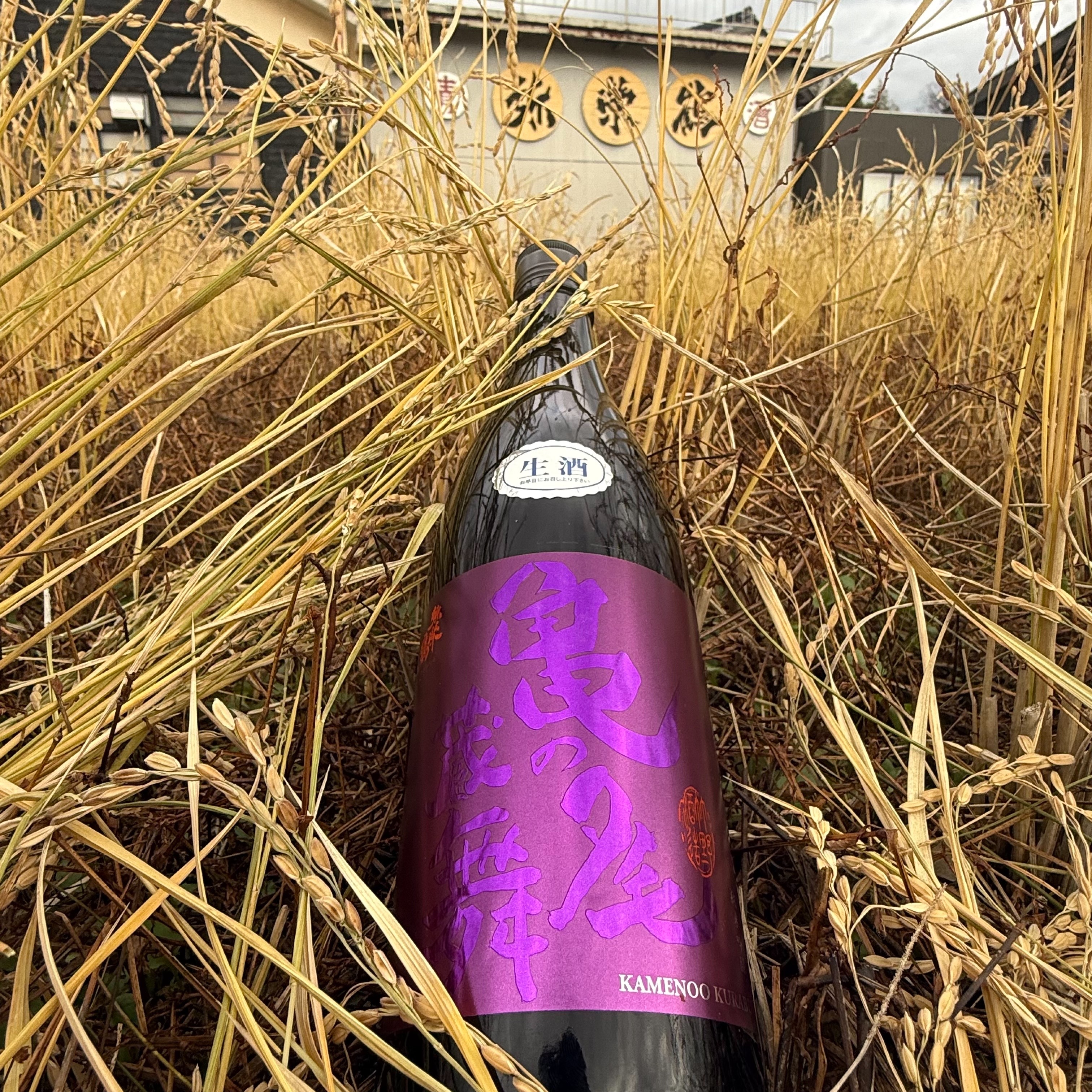 亀の尾蔵舞生酒のタンク2本目が発売しました。