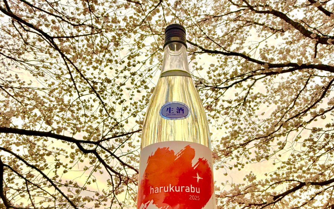 春蔵舞生酒発売しました。